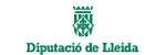 Diputacio